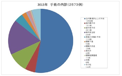 2013年手術実績